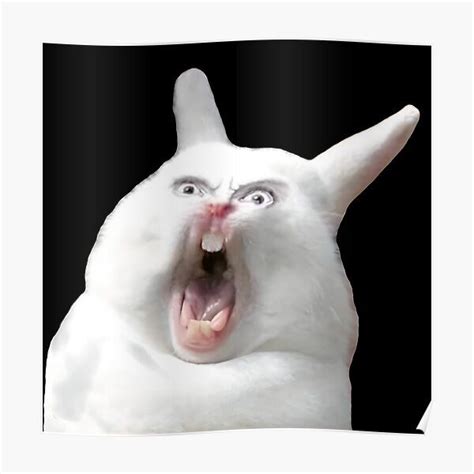 "Silly Angry Bunny Screaming Rabbit Face Funny Meme" Poster for Sale by ...