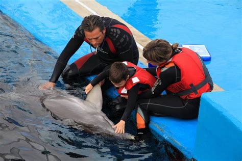 Delfinoterapia Para Combatir El Autismo 11