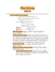 Biol Plant Diversity Pdf Plant Diversity Chapter Can You