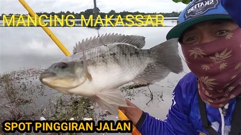 Mancing Nila Spot Pinggir Jalan Mancing Makassar Danau Mawang