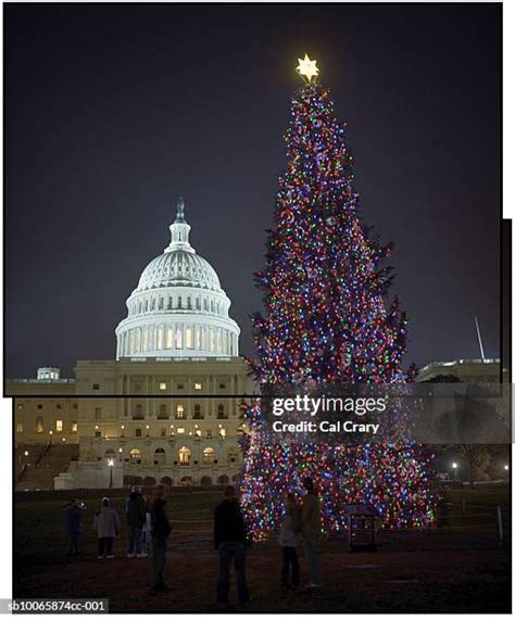 Washington Dc Christmas Lights Photos and Premium High Res Pictures ...