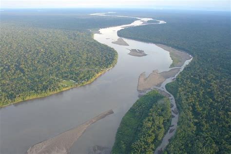 Day Amazon Napo Adventure From Quito Tripadvisor