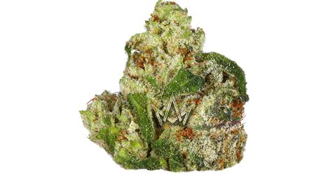 Lolo Cease And Desist Indoor Buds 35g San Diego Vista