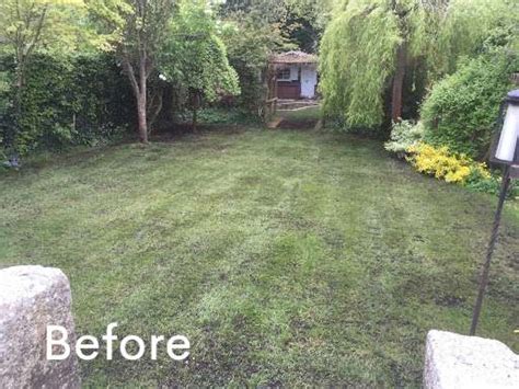 Professional Lawn Top Dressing Treatments Lawnkeeper