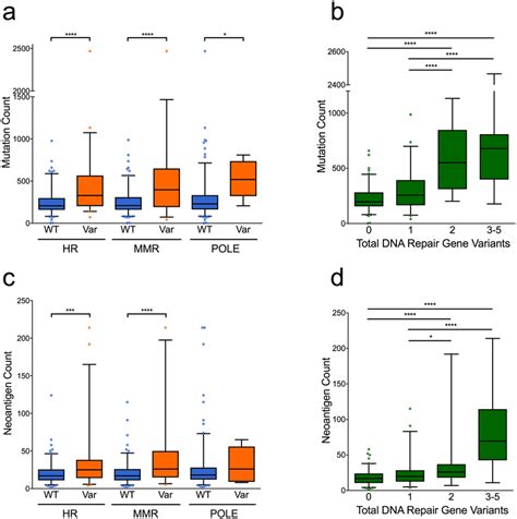 DNA repair gene variants are associated with increased mutation and ...