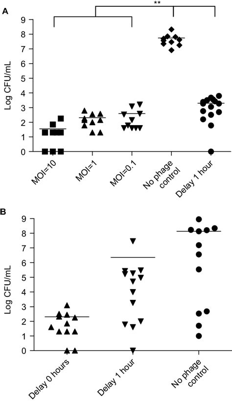 A Bacterial Load Log Cfuml In The Blood Of Balbc Mice After