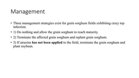 Diseases Of Sorghum Ppt