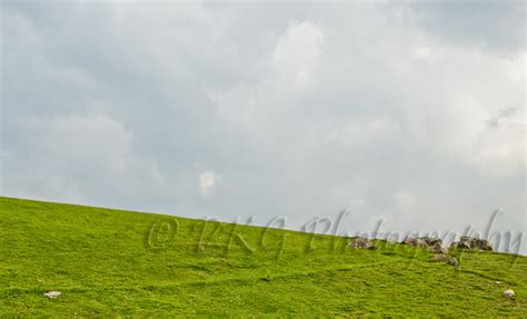 Gulmarg A Peep Into Paradise Kashmir India PKG Photog Flickr