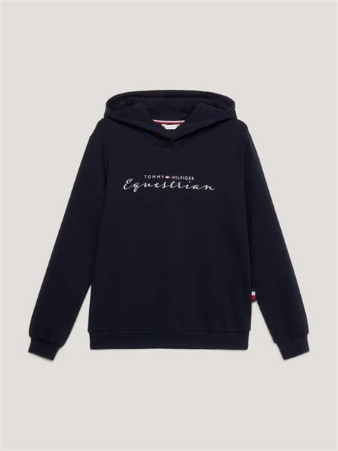 Tommy Hilfiger Metallic Logo Graphic Hoodie Desert Sky Elite Equine