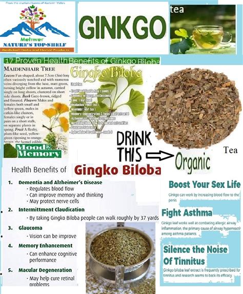 Ginkgo Biloba Online Herb Store Mehwerteas