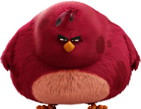 Image - ABMovie Terence.png | Angry Birds Wiki | FANDOM powered by Wikia