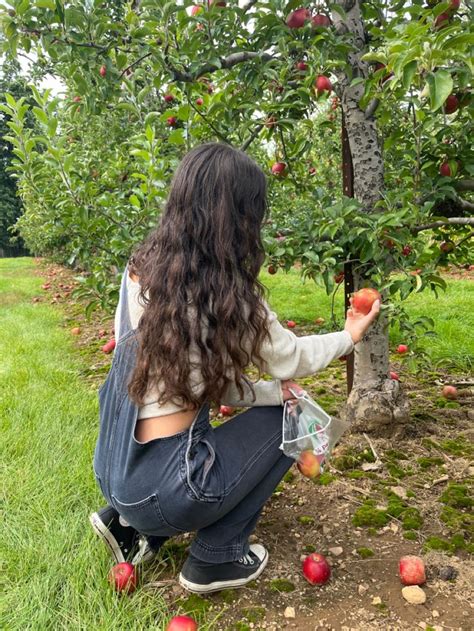 Apple Picking In 2024 Apple Picking Photos Apple Picking Outfit