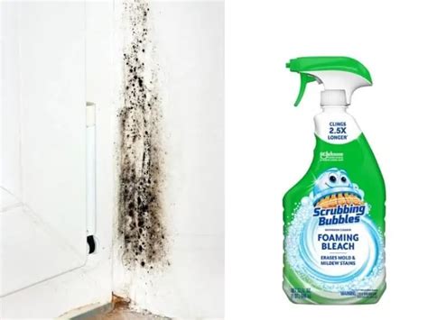 How To Kill Mold With Bleach Steps Alternatives Airlucent