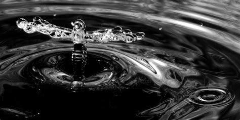 Monochrome L Eau Gouttelettes Photo Gratuite Sur Pixabay Pixabay