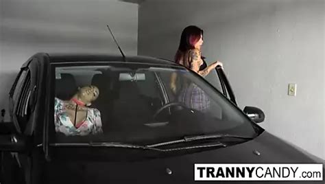 Free Trans Fuck Porn Videos XHamster