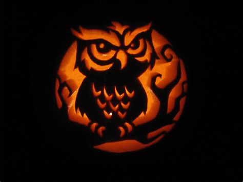 Pumpkin Carving Owl Templates