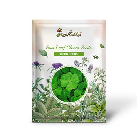 Buy Four Leaf Clover Seeds for Planting