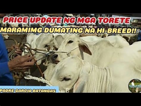 Price Update Ng Mga Torete Maraming Hi Breed Ngayon