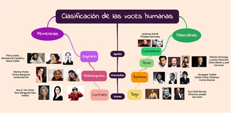 Clasificación De Las Voces Mapa Conceptual Y Tarjetas Educativas Para