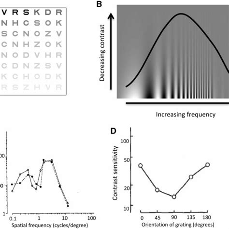 Measuring Visual Function Visual Contrast Sensitivity A