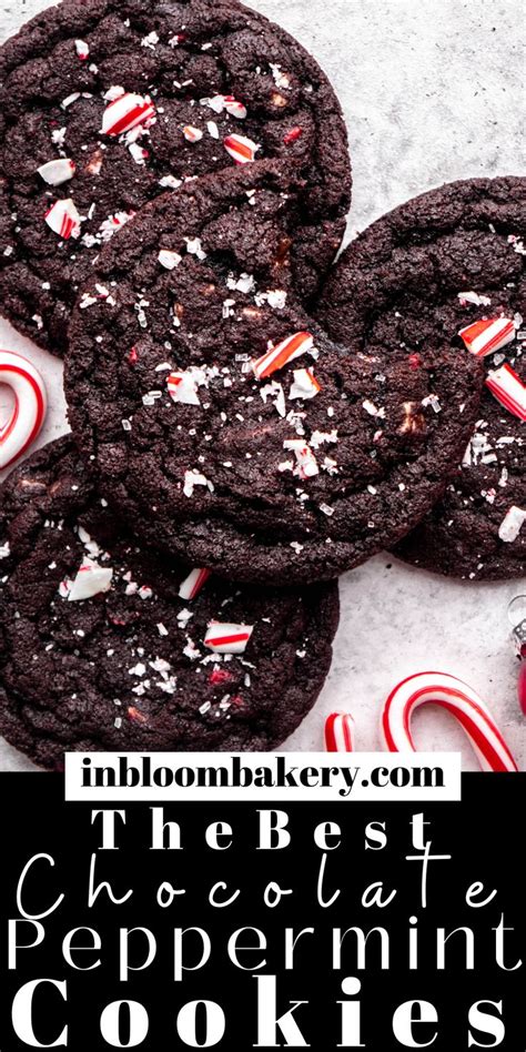 Double Chocolate Peppermint Cookies In Bloom Bakery Recipe