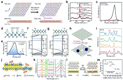 Atomic And Structural Modifications Of Two Dimensional Transition Metal