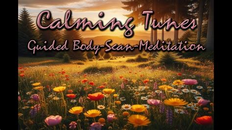 Calming Tunes Minute Guided Body Scan Meditation Mindfulness