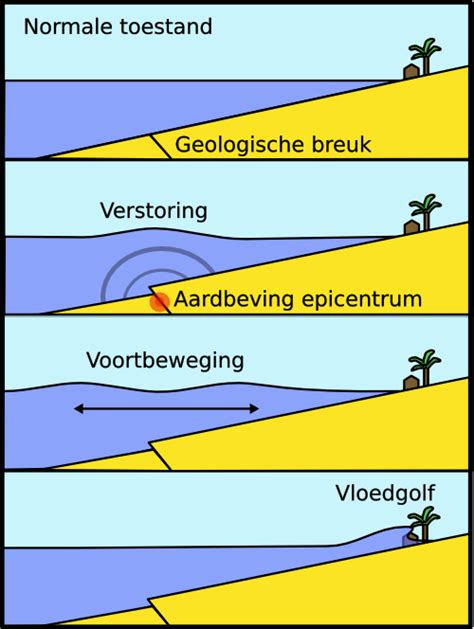 Ontstaan Leer Tsunami