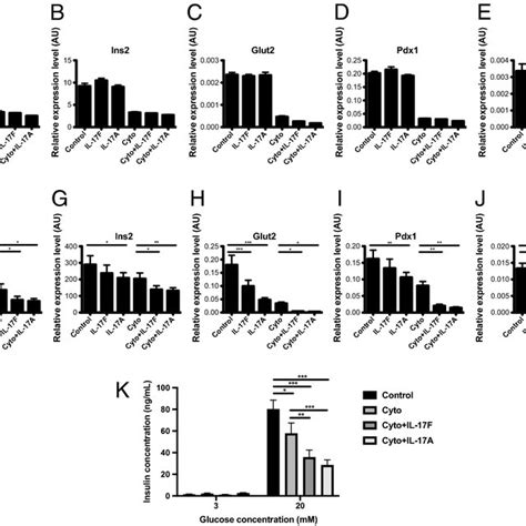 Pancreatic β Cells Respond To Il 17f Signals Via Il 17ra And Rc A