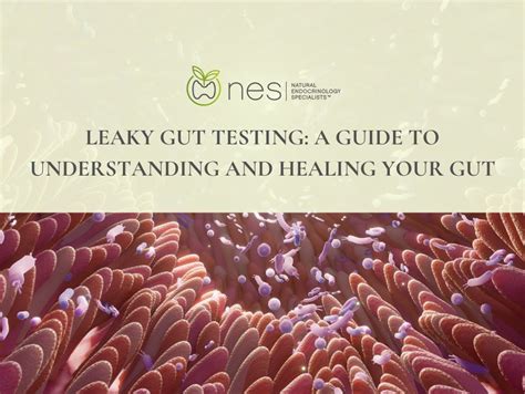 Leaky Gut Testing Natural Endocrinology Specialists