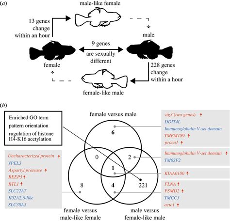 Degs Detected By Pairwise Comparisons A Schematic Illustration And