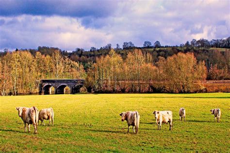 Photo Paysage Rural Normand