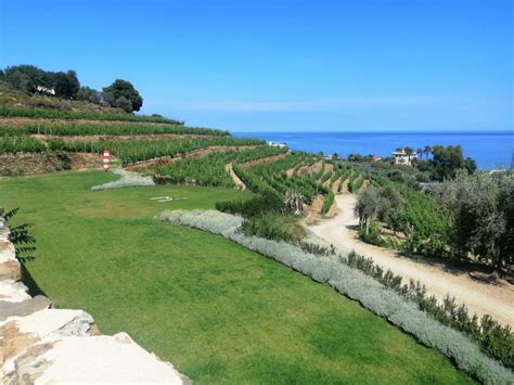 Apre Tenuta La Colombera Wine Bar Restaurant Con Vista Gallinara