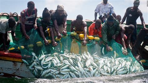 Overfishing Environmental Progress