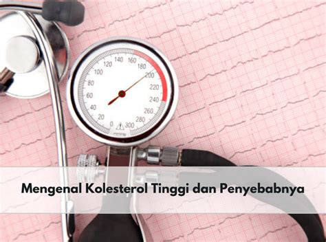 Kolesterol Tinggi Pengertian Dan Penyebabnya Ketahui Segera Untuk