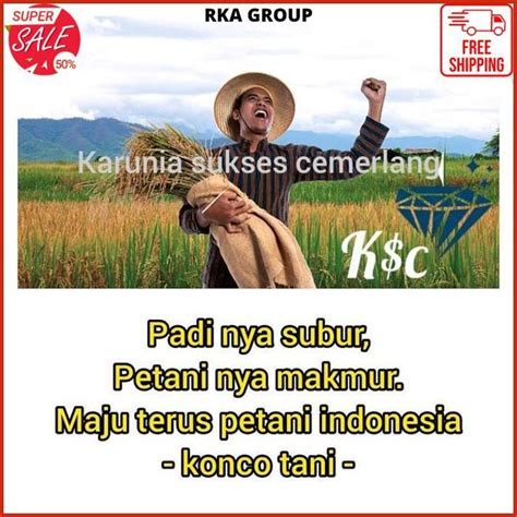 Jaring Burung Emprit Jaring Penutup Sawah Jaring Padi Petani