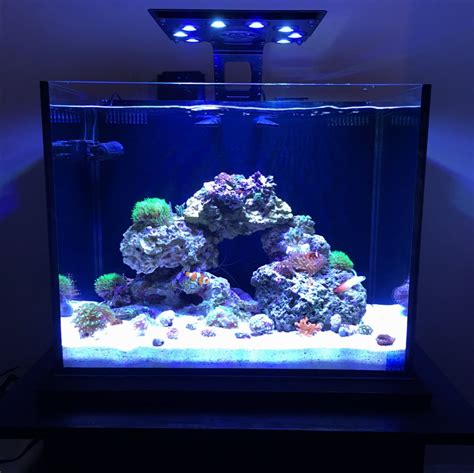 Nano Build Show Off Your Nano Tank Aquascape Page 7 Reef2reef