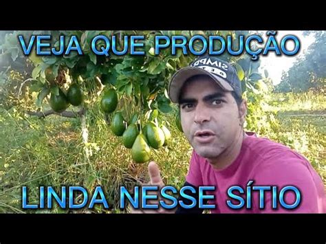 SÍTIO PRODUÇÃO LINDA AQUI NO PROJETO JAÍBA YouTube