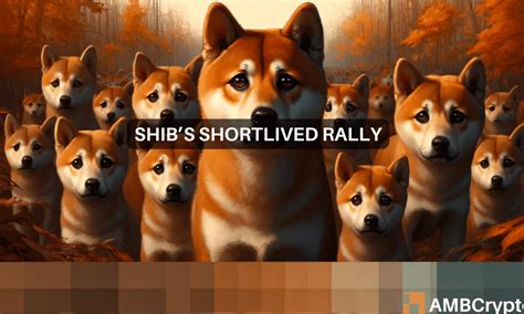 Durar El Aumento De Precio Del De Shiba Inu Esto Es Lo Que Dicen