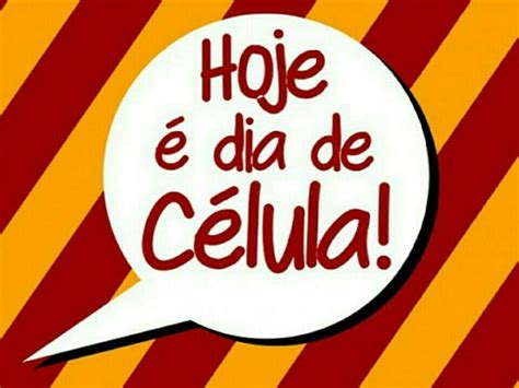 Hoje Dia De Celula Librain