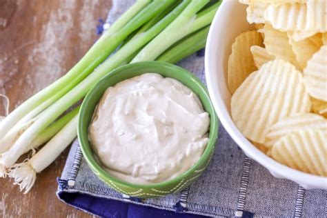 French Onion Dip Recipe {Only 2 Ingredients!} | Lil' Luna