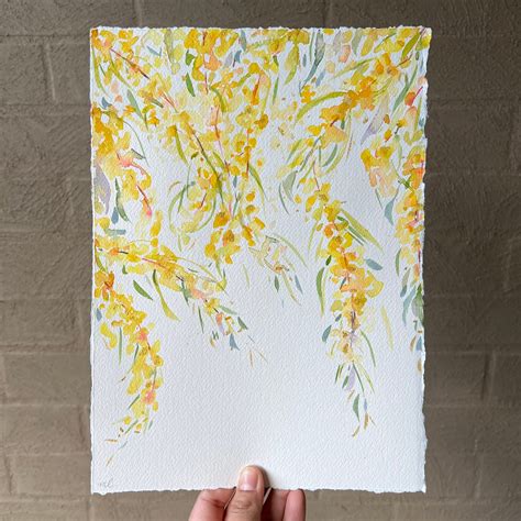 Original Watercolor Wattle Flower Painting Golden Wattle Etsy Australia