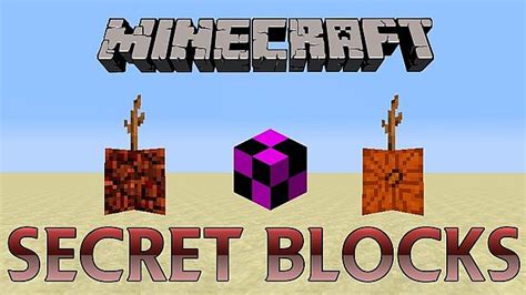 10 Secret Blocks in Minecraft Minecraft Blog