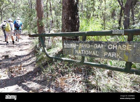 Ku Ring Gai Chase National Park Sydney Australia Stock Photo Alamy