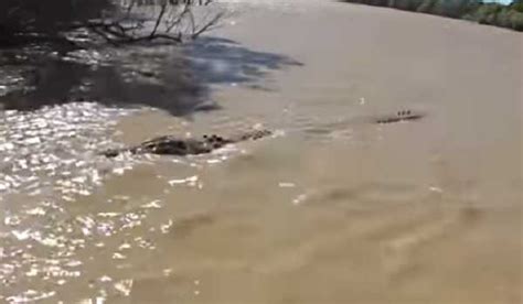 Australia's Crocodile Islands listed as protected area - Tripura Chronicle