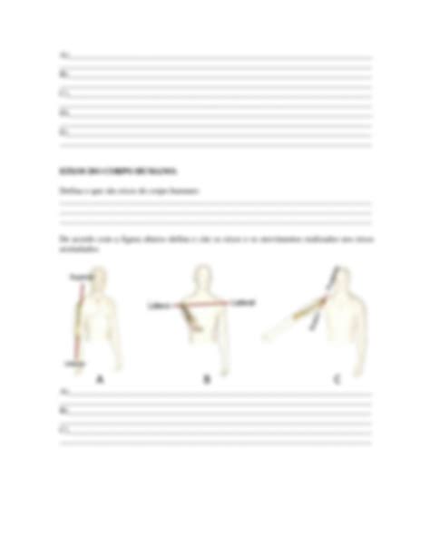 SOLUTION Roteiro Te Rico Pr Tico Introdu O Anatomia Humana Studypool