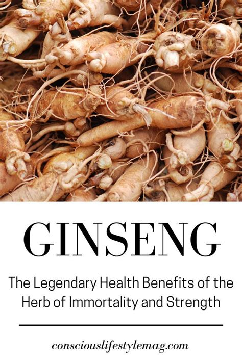 Ginseng Has Been Revered For Its Legendary Health Benefits For 1000s