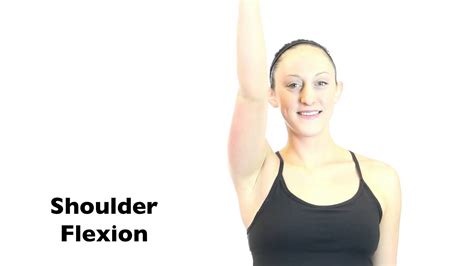 Shoulder Flexion | Interactive Biology, with Leslie Samuel