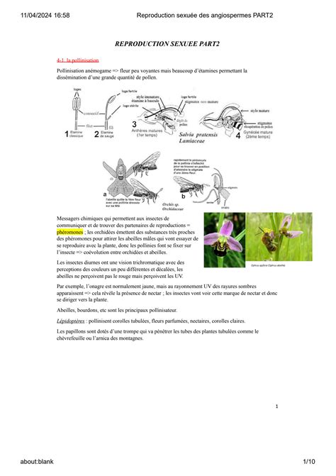 Solution Reproduction Sexu E Des Angiospermes Part Studypool