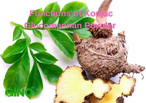 6 Key Functions of Konjac Glucomannan Powder